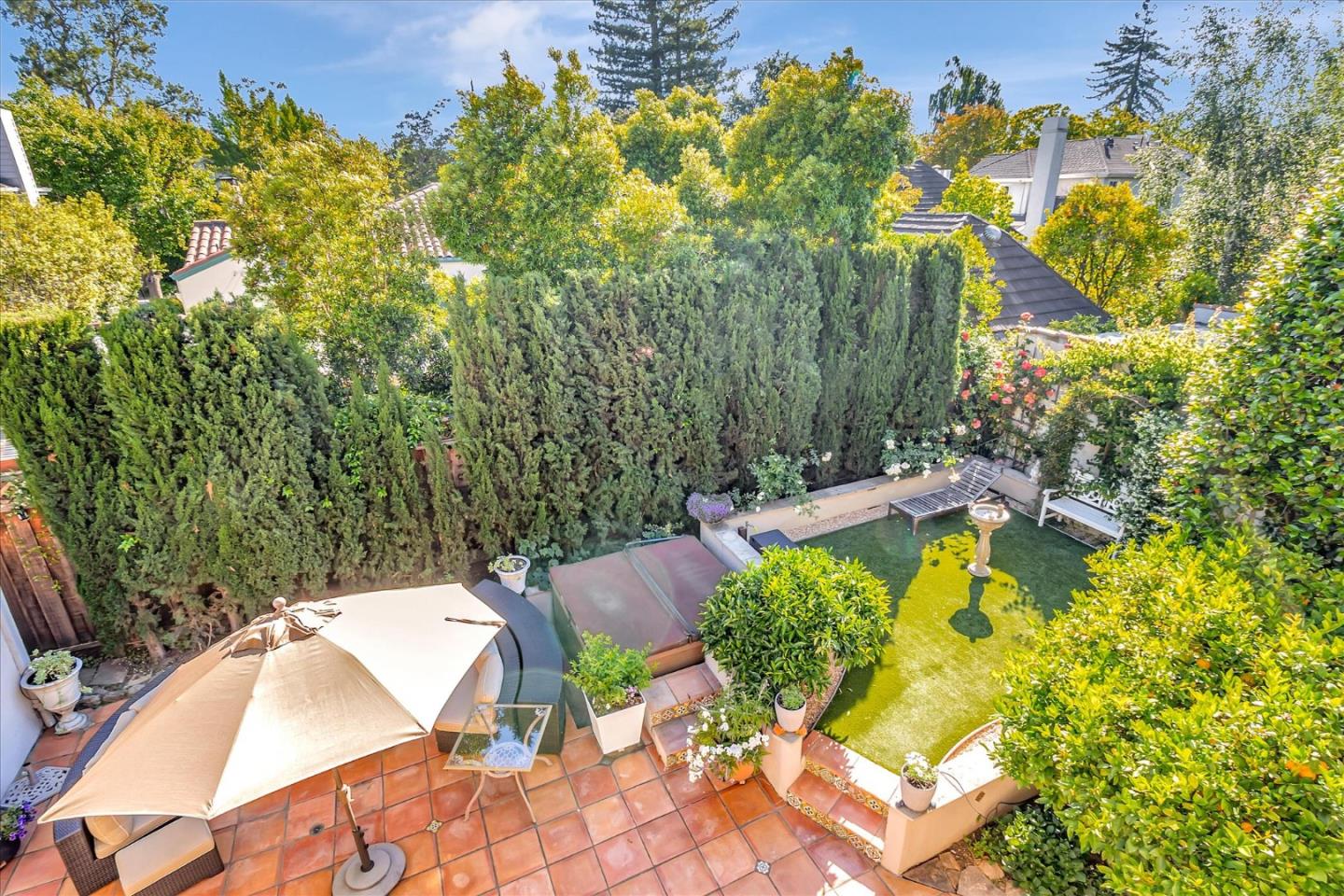 Palo Alto courtyard garden with manicured lawn, patio, and lush hedging