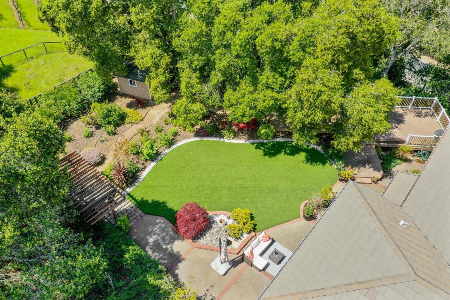 Saratoga backyard aerial view with pristine lawn and mature oak trees