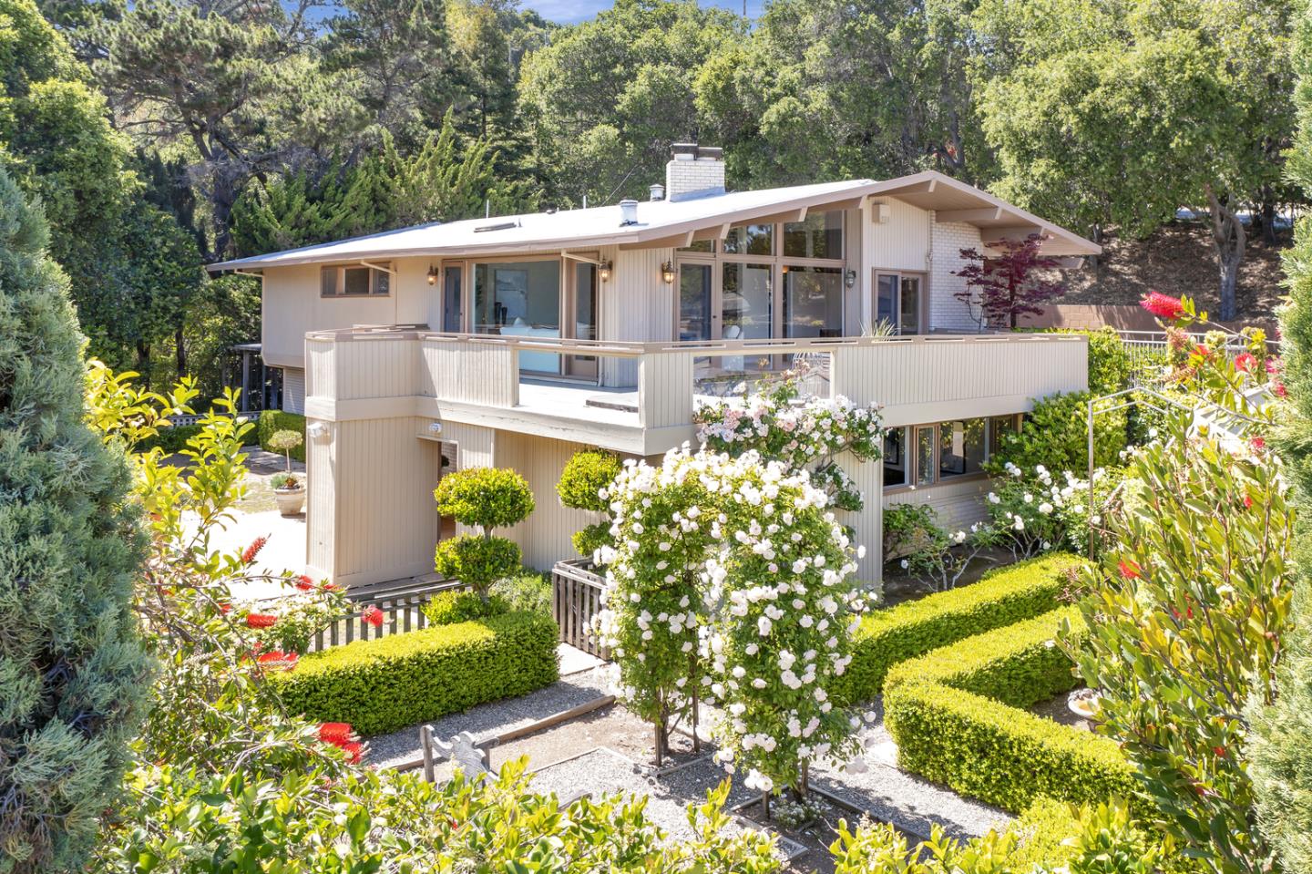 Saratoga mid-century home with sculpted hedges and rose garden landscaping